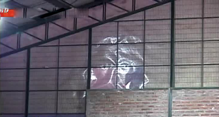 Misteriosas apariciones de Cristo en distintas partes crea incertidumbre