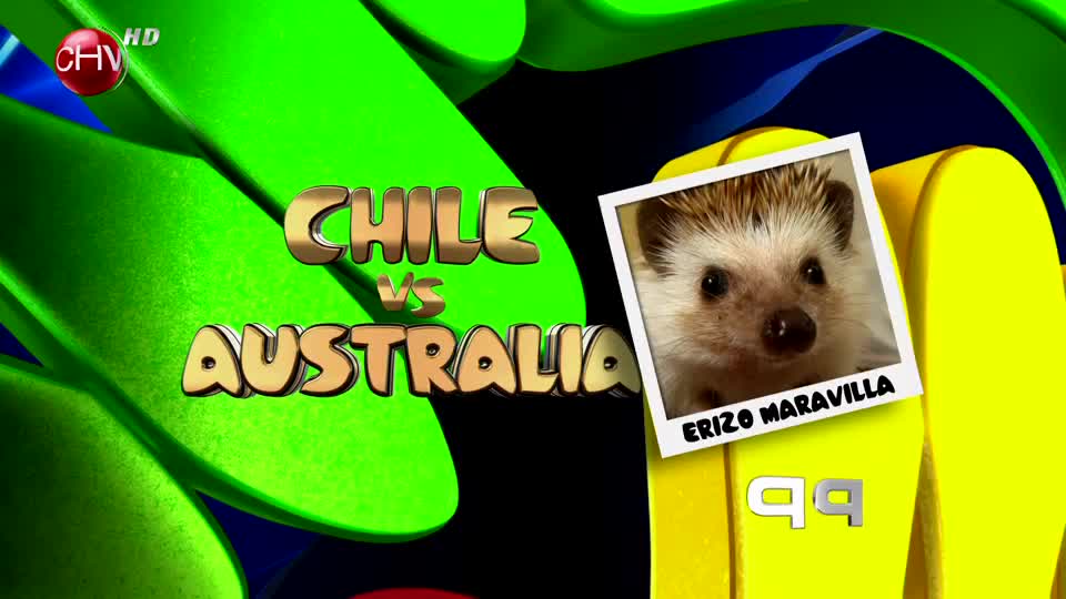 El nuevo adivino de la televisión: El erizo maravilla