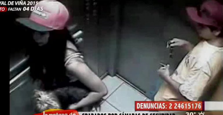 Pareja de pololos es captada robando mascota desde edificio capitalino