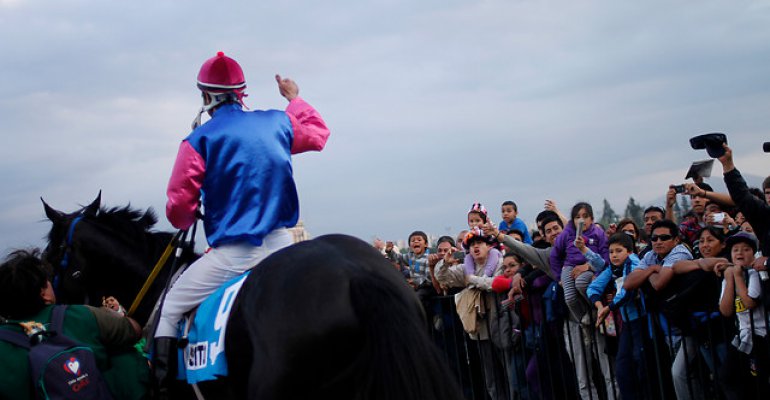 El costoso gusto de los narcos por caballos pura sangre
