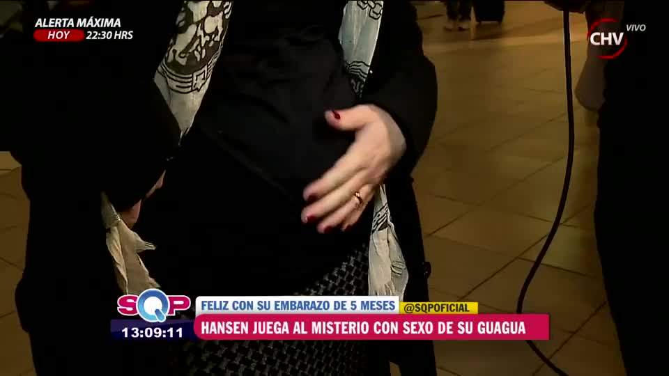 Fernanda Hansen mostró por primera vez su guatita de embarazada