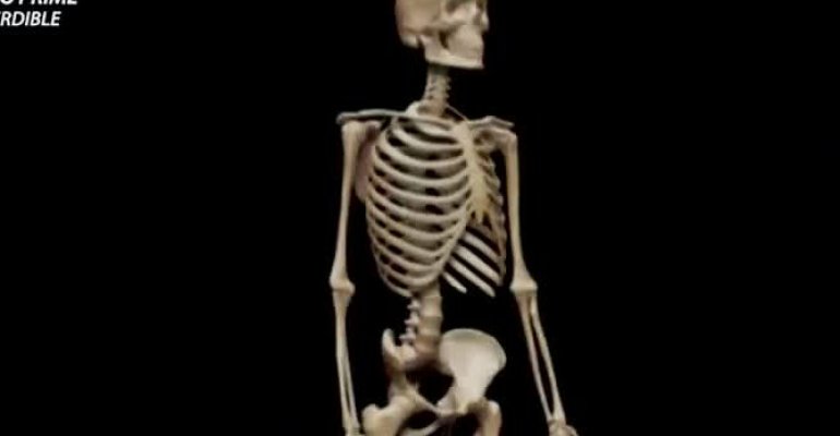 Médico geriatra explicó por qué duelen los huesos - Parte 2