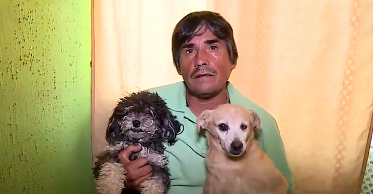 Conozca la historia del auxiliar de aseo que recoge perros de la calle - Parte 2