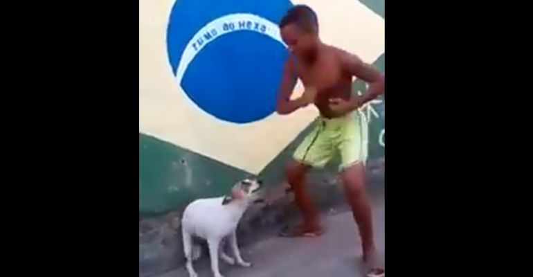 Perro brasileño baila cuando escucha música