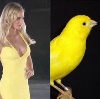 Imagen foto_00000004