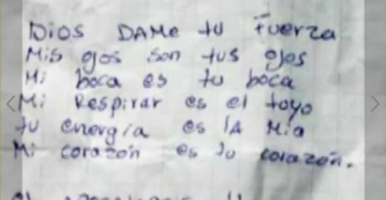 Joven que se lanzó a leones habría sufrido delirio mesiánico