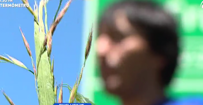 La Mañana habló con compañero de cárcel de Jaime Anguita