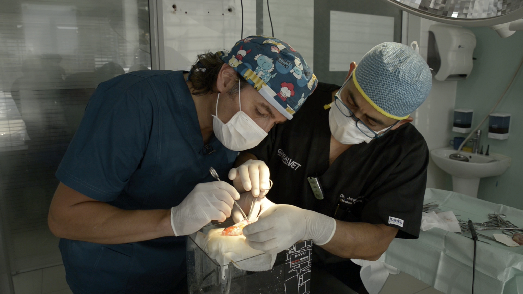 Imagen foto_00000015