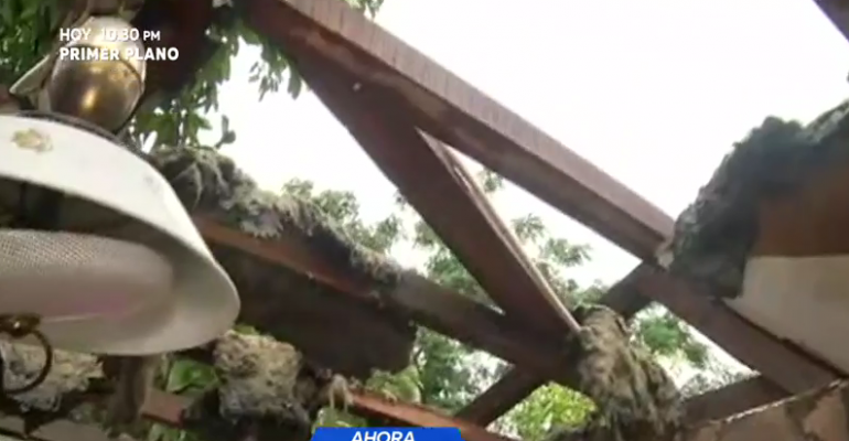 Techo de vivienda cedió por completo tras lluvia