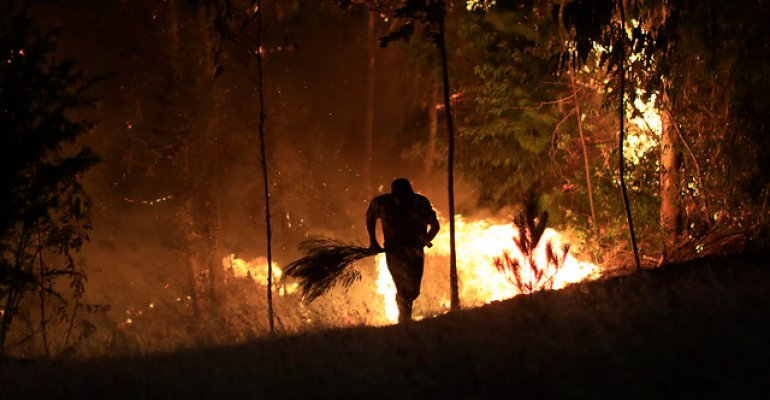 Sobrevuelo evidenció catástrofe tras incendios forestales
