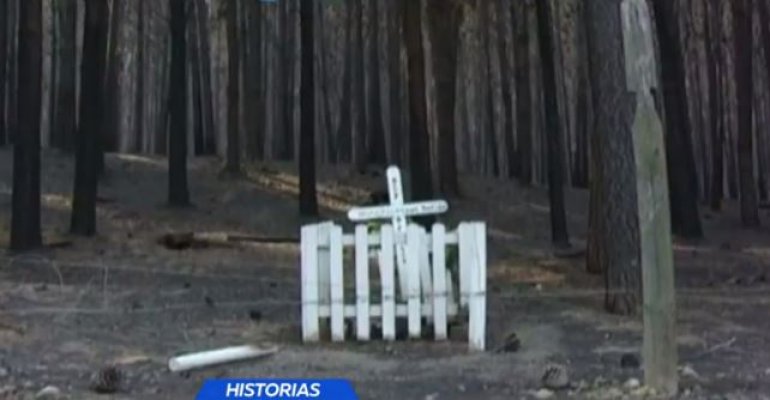 Milagros en la tragedia: casas y animitas que se salvaron - Parte 2