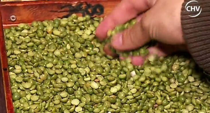 ¿Sabías qué? El sorprendente sabor de las lentejas