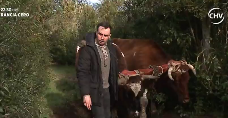 Turismo rural en Calbuco: La ruta de Isla Huar