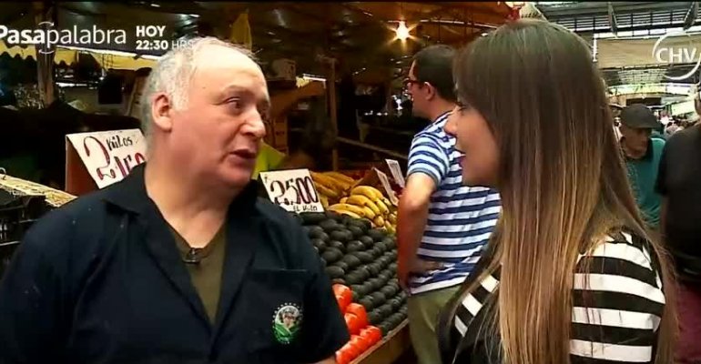 Guachacas chilenos: El Gato de Temuco