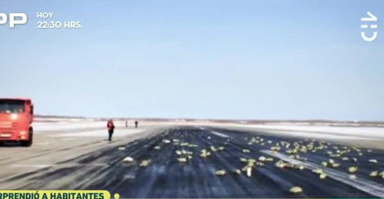 Lluvia de lingotes de oro en Rusia