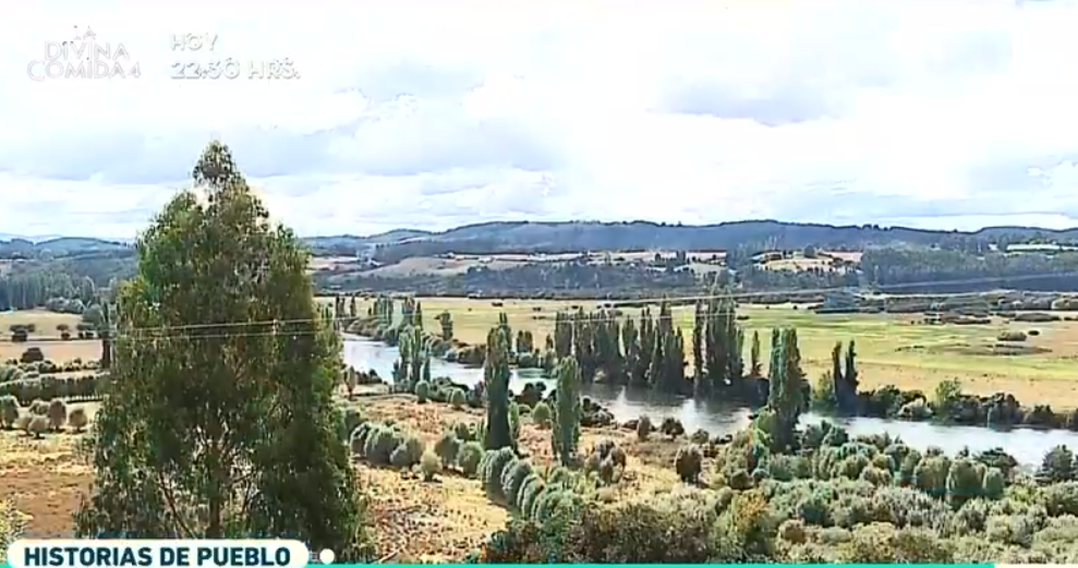 Imagen foto_00000015