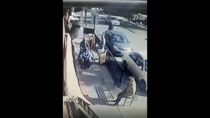 Cruel maltrato contra joven discapacitado: Lo montaron, se burlaron y lo botaron de su silla de ruedas