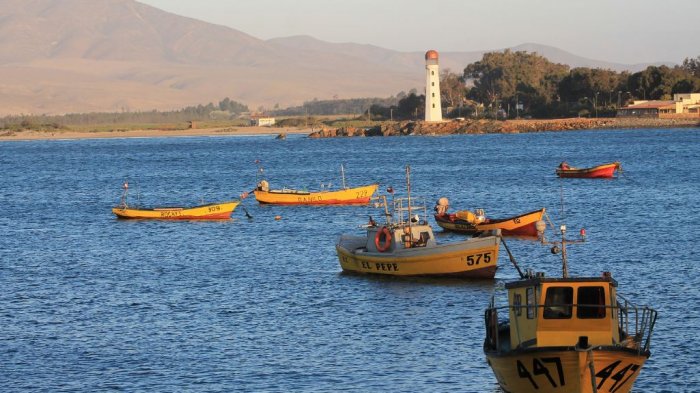 Preocupación en Atacama por 10 sismos registrados en las últimas dos semanas