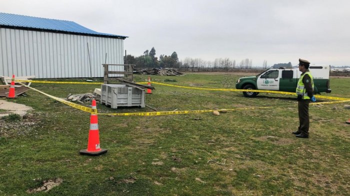 Macabro hallazgo en Curicó: Perro apareció con feto de 7 meses que no tenía su cabeza