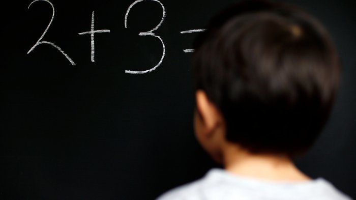 Profesora dio la tarea de contar 100 millones de granos de arroz a sus alumnos