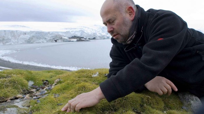 Investigadores chilenos y argentinos descubren planta que promete combatir el cáncer colorrectal