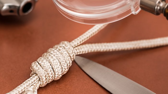 Escritora de “Cómo matar a tu esposo” terminó usando su propio manual y asesinó a su pareja