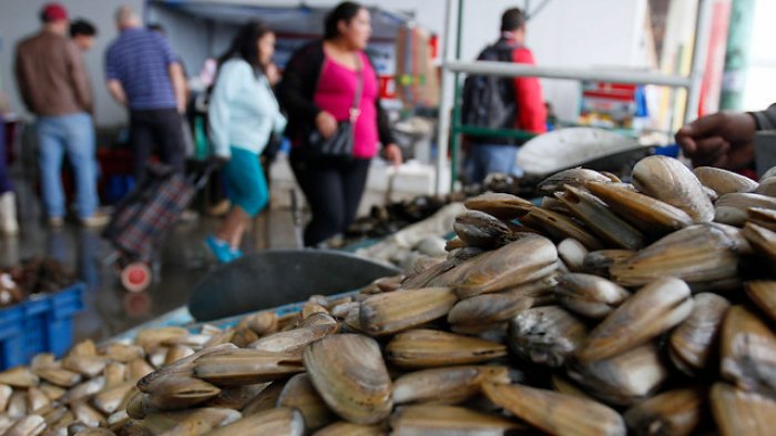 Atención sibaritas: Fanático de los mariscos y la carne cruda terminó con un gusano en su cerebro