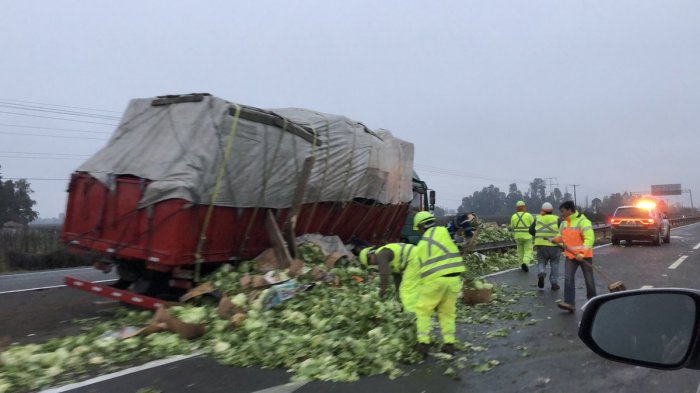 Camión que transportaba lechugas causó taco interminable en Ruta 5 Sur