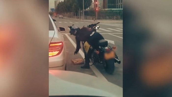 Dio el ejemplo: Motorista recogió la basura que una automovilista lanzó al pavimento y se la devolvió