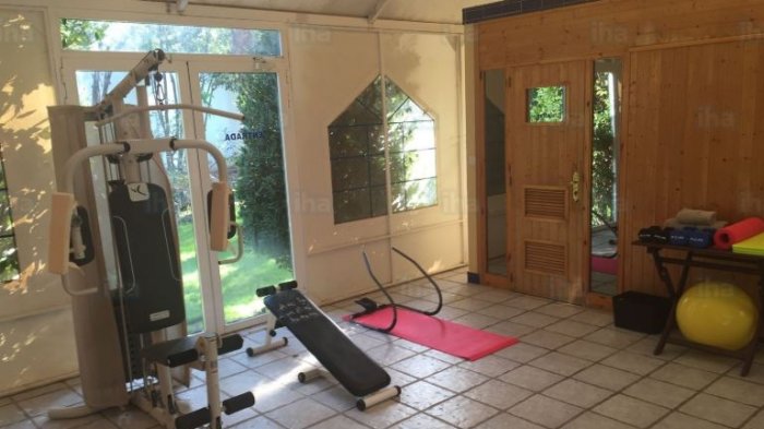 Por un verano sin polera: Arma tu gimnasio casero por $60 mil