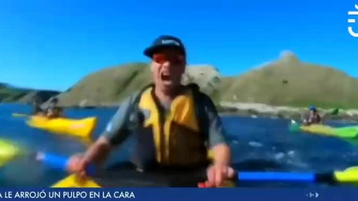 De no creer: Foca le arrojó un pulpo en la cara a kayakista