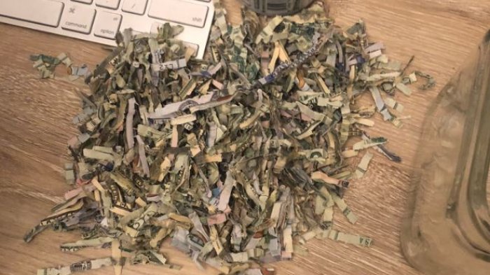 “Mi pobre angelito”: Niño de dos años lanzó los ahorros de sus padres a la trituradora de papeles