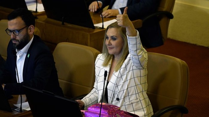 Sororidad: Pamela Jiles defiende a Cathy Barriga por el Kiki Challenge