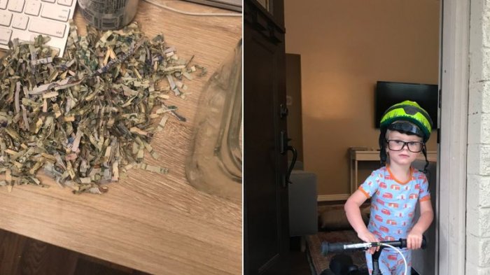 Díganme que es una broma: Niño metió a la trituradora todo el dinero que sus padres tenían ahorrado