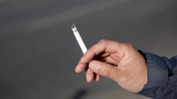 Con multas de hasta $240 mil: Las Condes aprobó norma que prohíbe fumar en plazas y parques