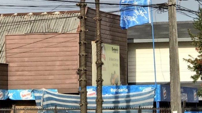 Indignación entre habitantes de Temuco por “mutilación” de una Araucaria araucana