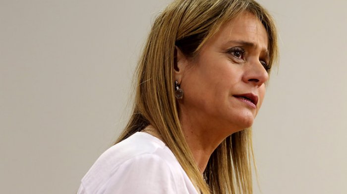 Primera política chilena en hacerlo: Van Rysselberghe viajó a Brasil para reunirse con Bolsonaro