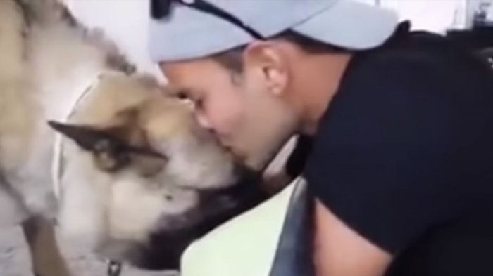 Tierno instante: Video muestra el momento en que un hombre se despide de su perro para siempre