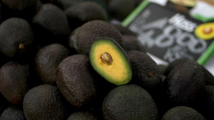 Chilena desarrolló líquido que alarga la vida de la palta hasta en 30 días: No se pone negra