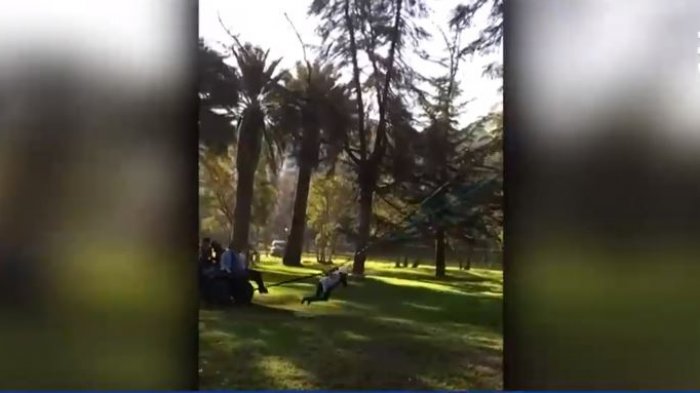 Minutos de terror vivó una modelo chilena quien salió eyectada en medio de la grabación de un comercial