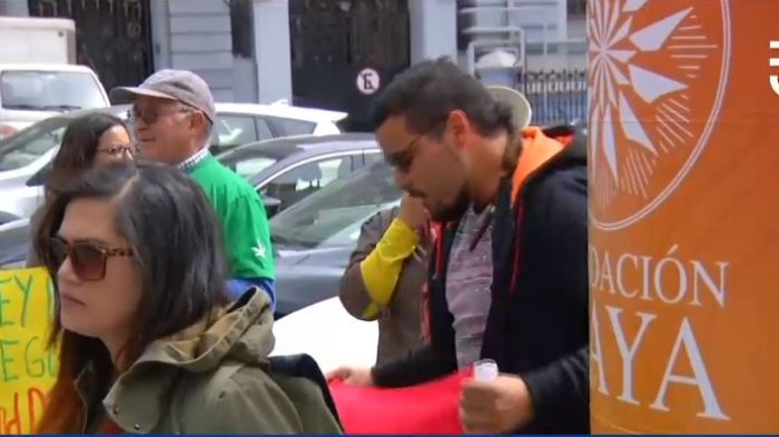 Protesta en Valparaíso por condena a joven que mantenía tres plantas de marihuana en su casa