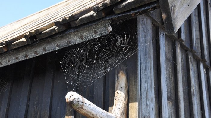 Quiso matar una araña con un soplete y quemó la casa