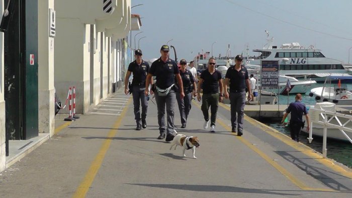 Como “Don Corleone”: Mafia italiana le puso precio a la cabeza de perro policía antinarcóticos que estropea su negocio