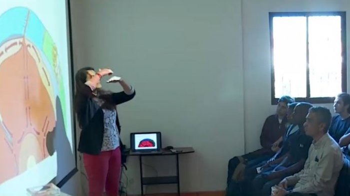 Preparan a extranjeros viviendo en Chile para un eventual terremoto de gran magnitud