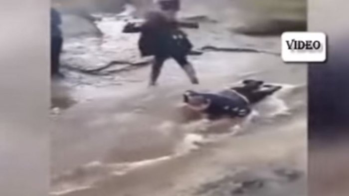 Estudiantes usaron a su compañero discapacitado como puente humano para cruzar un arroyo