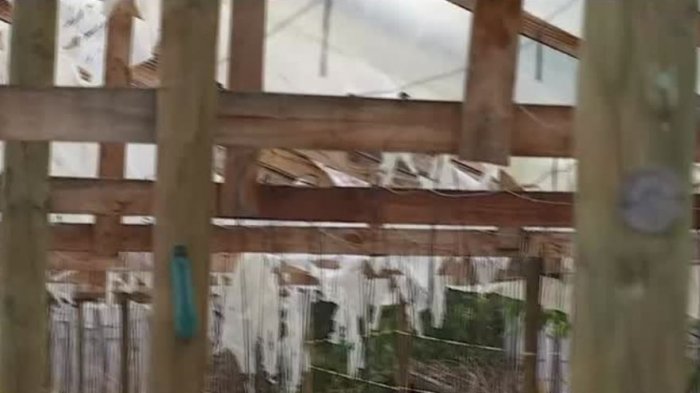 Ministro de Agricultura sobre los granizos en la zona central: 