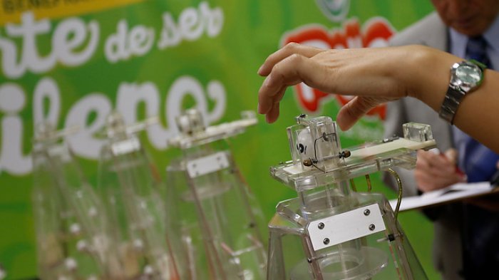 Ponga ojo: Matemático entregó su fórmula secreta para ganar en los juegos de azar