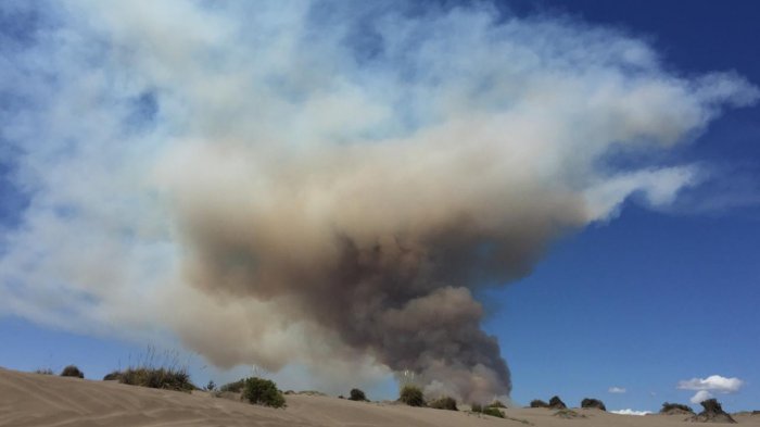 Decretan Alerta Roja para Valparaíso y Quintero por incendios forestales