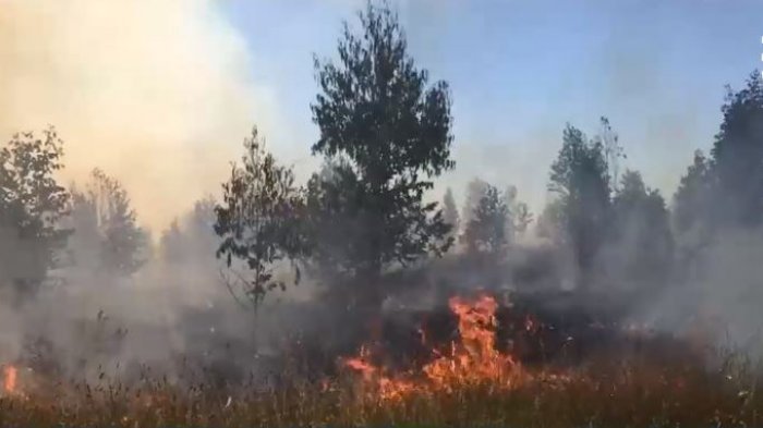 Detienen a sujetos sorprendidos haciendo quemas ilegales en pleno período de alerta por incendios forestales
