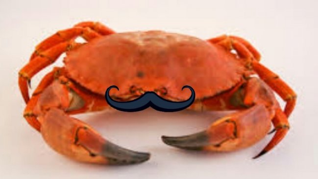 La desalentadora historia de Mr. Jaiva, el personaje que se volvió viral tras la PSU de Lenguaje